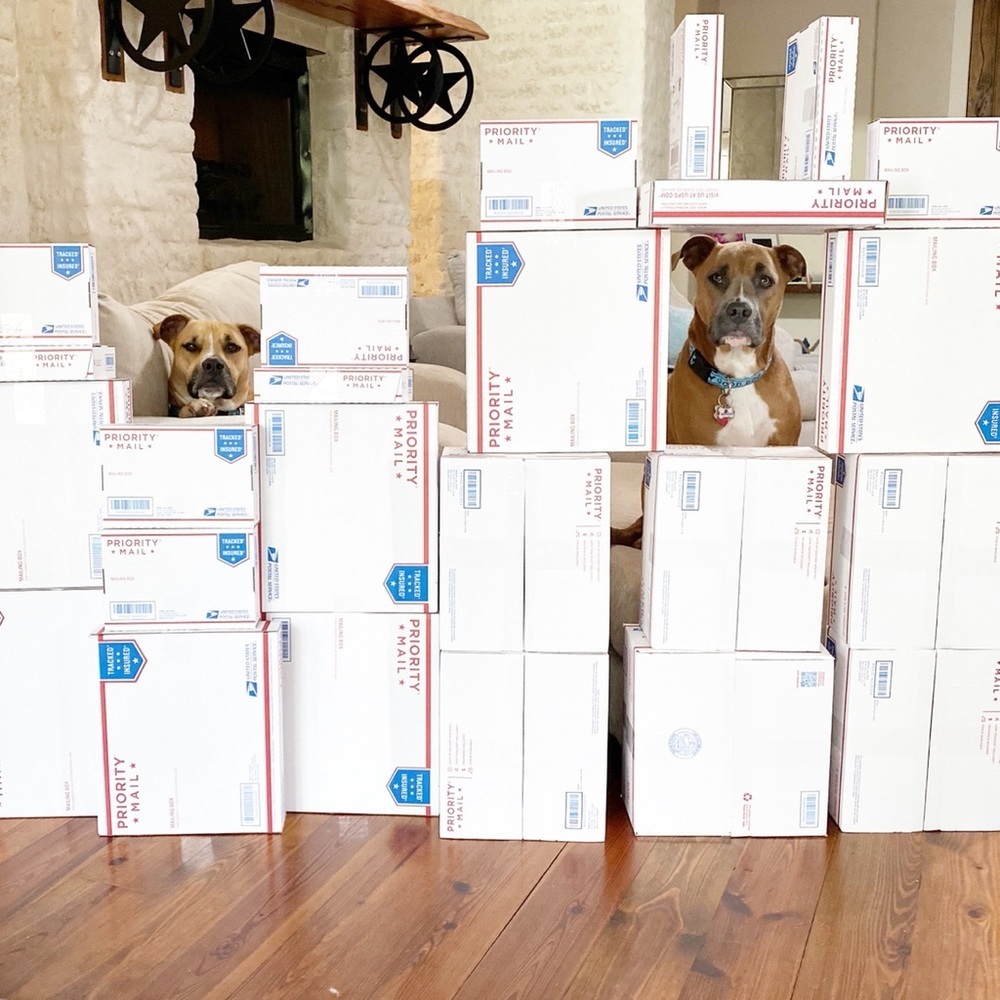 FOLLOW MY CUTE PAWSH ASSISTANTS! 🐶🐶🛍👑🐝 - Picture 13 of 16